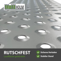 TRUTZHOLM 2x Auffahrrampe 180 cm Tragkraft 400 kg Stahl profiliert Verladerampe Rampe grau