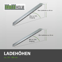 TRUTZHOLM 2x Auffahrrampe 180 cm Tragkraft 400 kg Stahl profiliert Verladerampe Rampe grau