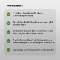 Druckluft Set Reifenfüller Ausblaspistole Farbspritzpistole Sprühpistole Spiralschlauch Düsen 13 tlg. Druckluftzubehör