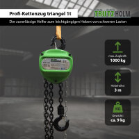 Kettenzug triangel 1t Tragkraft - 3m Hubhöhe - Doppelbremse HSC Flaschenzug Hebezug Seilzug