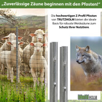 Z-Profil Zaunpfosten 200 cm feuerverzinkt 50x Zaunpfähle 1,5 mm Stärke gestanzte Haken Forstprofil