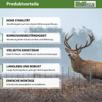 Z-Profil Zaunpfosten 200 cm feuerverzinkt 50x Zaunpfähle 1,5 mm Stärke gestanzte Haken Forstprofil