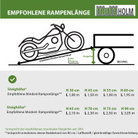 DREIBREIT by TRUTZHOLM 2-fach Auffahrrampe klappbar 215 cm 1020 kg Alu gelocht Verladerampe Rampe