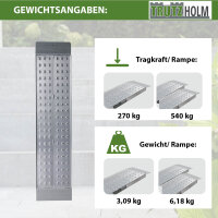 TRUTZHOLM 1x Auffahrrampe Alu Traglast 270 kg Länge 100 cm Breite 28 cm inkl. Sicherungsbolzen