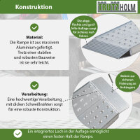 TRUTZHOLM 1x Auffahrrampe Alu Traglast 270 kg Länge 100 cm Breite 28 cm inkl. Sicherungsbolzen