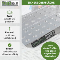 TRUTZHOLM 1x Auffahrrampe Alu Traglast 270 kg Länge 100 cm Breite 28 cm inkl. Sicherungsbolzen