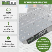 TRUTZHOLM 1x Auffahrrampe Alu 150 cm Traglast 270 kg gelochte Oberfläche Verladerampe Motorrad