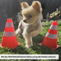 10x Pylonen Verkehrshütchen Leitkegel stapelbar 13,5 x 23 cm Hütchen für Sport Training