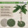 Kratzbaum Palme 85 cm Höhe mit Frottee & Sisal Kratzsäule zum Krallen wetzen Spielen Klettern
