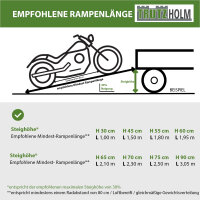 DREIBREIT by TRUTZHOLM 2-fach Auffahrrampe klappbar 255 cm Tragkraft 1020 kg Alu gelocht gerillt