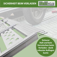 DREIBREIT by TRUTZHOLM 2-fach Auffahrrampe klappbar 255 cm Tragkraft 1020 kg Alu gelocht gerillt