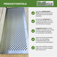 Trittschutzblech Lochblech Alu gebördelt 1000 x400 mm 1,5mm Trittsicherung Auffahrblech Schutzgitter