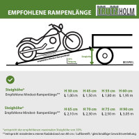 TRUTZHOLM Auffahrrampe Alu extralang 300 cm extrabreit 70 cm klappbar 400 Kg Verladerampe Eventrampe