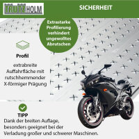 TRUTZHOLM Auffahrrampe Alu extralang 300 cm extrabreit 70 cm klappbar 400 Kg Verladerampe Eventrampe