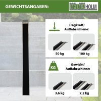 TRUTZHOLM 1x Auffahrschiene Alu 194 cm 50 kg Anti-Rutsch Beschichtung E-Bike Fahrradrampe Treppe