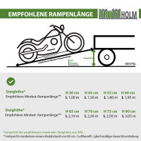 TRUTZHOLM Auffahrschiene klappbar 240 cm Tragkraft 50 kg Alu grau gelocht Fahrradrampe Rampe