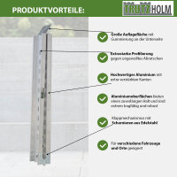 TRUTZHOLM Auffahrschiene klappbar 240 cm Tragkraft 50 kg Alu grau gelocht Fahrradrampe Rampe