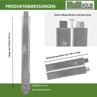 TRUTZHOLM Auffahrschiene Alu 150-270 cm verstellbar Traglast 50 kg Treppenrampe Fahrradrampe E-Bike