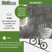 TRUTZHOLM Auffahrschiene Alu 150-270 cm verstellbar Traglast 50 kg Treppenrampe Fahrradrampe E-Bike