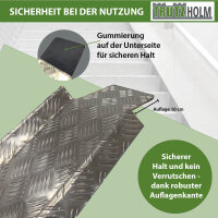 TRUTZHOLM Auffahrschiene Alu 150-270 cm verstellbar Traglast 50 kg Treppenrampe Fahrradrampe E-Bike