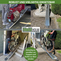 TRUTZHOLM Auffahrschiene Alu 150-270 cm verstellbar Traglast 50 kg Treppenrampe Fahrradrampe E-Bike