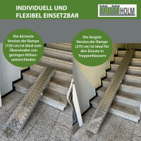 TRUTZHOLM Auffahrschiene Alu 150-270 cm verstellbar Traglast 50 kg Treppenrampe Fahrradrampe E-Bike