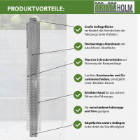 TRUTZHOLM Auffahrschiene Alu 150-270 cm verstellbar Traglast 50 kg Treppenrampe Fahrradrampe E-Bike