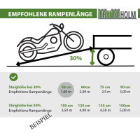 TRUTZHOLM 1x Auffahrschiene 183 cm 50 kg Alu grau starr Anti-Rutsch Beschichtung E-Bike kleine Mofas