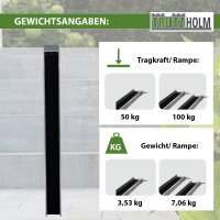 TRUTZHOLM 1x Auffahrschiene 183 cm 50 kg Alu grau starr Anti-Rutsch Beschichtung E-Bike kleine Mofas