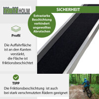 TRUTZHOLM 1x Auffahrschiene 183 cm 50 kg Alu grau starr Anti-Rutsch Beschichtung E-Bike kleine Mofas