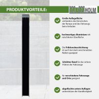 TRUTZHOLM 1x Auffahrschiene 183 cm 50 kg Alu grau starr Anti-Rutsch Beschichtung E-Bike kleine Mofas