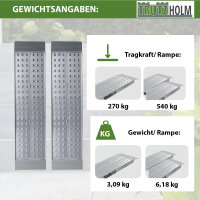 TRUTZHOLM 2x Auffahrrampe Alu Traglast 540 kg Länge 100 cm Breite 28 cm Verladerampe gelocht