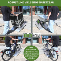 TRUTZHOLM 2x Auffahrrampe Alu Traglast 540 kg Länge 100 cm Breite 28 cm Verladerampe gelocht