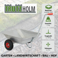 Schubkarre Einhandkarre Traglast 100 kg Volumen 75 L Luftreifen Friedhofskarre Gartenkarre