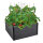 Hochbeet Beeteinfassung mit Wühlmausgitter 100x100x56 cm ca. 516 Liter Holzoptik Komposter