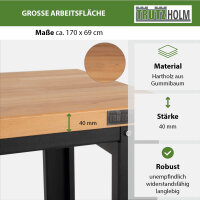 Werkbank Profiline XXL 170x69 cm 1000 kg Traglast freistehender Werkstatttisch mit Hartholzplatte