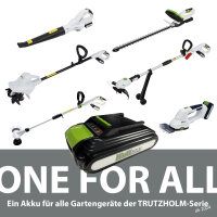 Akku Fugenreiniger 20V inkl. 2 x Akku 2.0Ah wechselbare Fugenbürsten Teleskopstiel