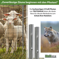 Z-Profil Zaunpfosten 230 cm feuerverzinkt 10x Zaunpfähle 1,5 mm Stärke gestanzte Haken Forstprofil