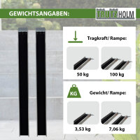 TRUTZHOLM 2x Auffahrschienen 183 cm 100 kg Alu grau Anti Rutsch Beschichtung E-Bike kleine Mofas