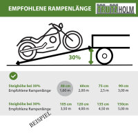 TRUTZHOLM 2x Alu Auffahrschienen 194 cm Tragkraft 100 kg Alu Anti-Rutsch Beschichtung E-Bike Mofa