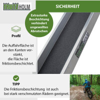 TRUTZHOLM 2x Alu Auffahrschienen 194 cm Tragkraft 100 kg Alu Anti-Rutsch Beschichtung E-Bike Mofa