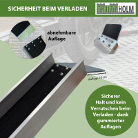 TRUTZHOLM 2x Alu Auffahrschienen 194 cm Tragkraft 100 kg Alu Anti-Rutsch Beschichtung E-Bike Mofa