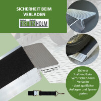 TRUTZHOLM 2x Auffahrrampe klappbar 228 cm 680 kg Traglast Alu Anti Rutsch Quad ATV Rasenmähertraktor