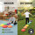 Balancesteine für Kinder 6-tlg. Trittsteine stapelbar & farbenfroh für Motorik Gleichgewicht & Spiel