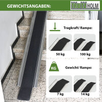 TRUTZHOLM Auffahrschiene 150-270 cm verstellbar Traglast 50 kg Treppenrampe für Fahrrad E-Bike Moped