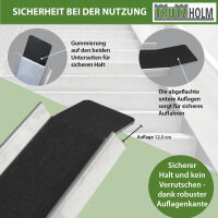 TRUTZHOLM Auffahrschiene 150-270 cm verstellbar Traglast 50 kg Treppenrampe für Fahrrad E-Bike Moped
