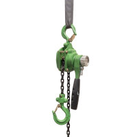 Ratschenzug bis 250 kg Last 1,5 m Hubhöhe mit...