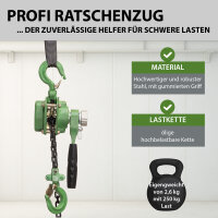 Ratschenzug bis 250 kg Last 1,5 m Hubhöhe mit öliger Kette für Montage Werkstatt Bau