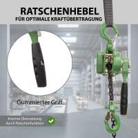 Ratschenzug bis 250 kg Last 1,5 m Hubhöhe mit öliger Kette für Montage Werkstatt Bau