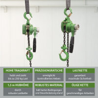 Ratschenzug bis 250 kg Last 1,5 m Hubhöhe mit öliger Kette für Montage Werkstatt Bau